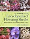 The Timber Press Encyclopedia of Flowering Shrubs