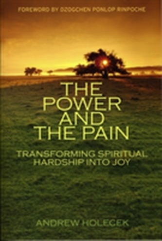 The Power And The Pain
