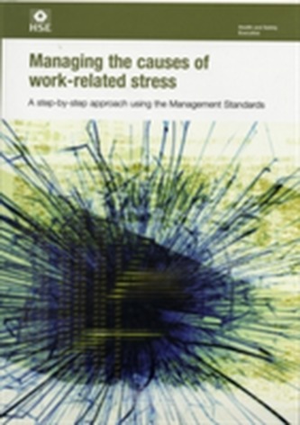 Managing the causes of work-related stress