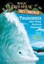 Magic Tree House Fact Tracker #15 Tsunamis and Other Natural Disasters