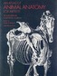 An Atlas of Animal Anatomy for Artists
