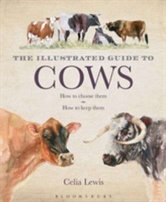 The Illustrated Guide to Cows