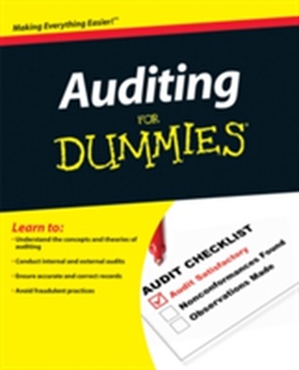 Auditing for Dummies
