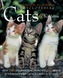 The Complete Illustrated Encyclopedia of Cats & Kittens