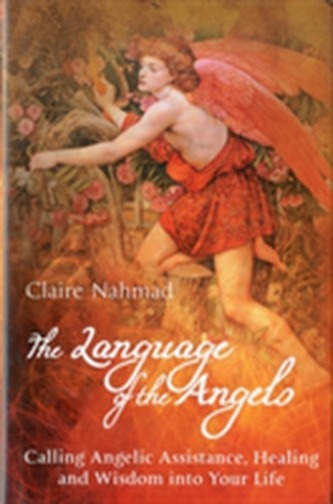 The Language of the Angelo