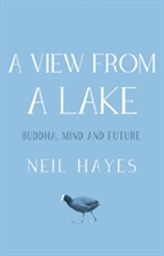 A View From A Lake