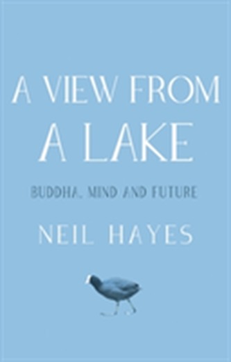 A View From A Lake