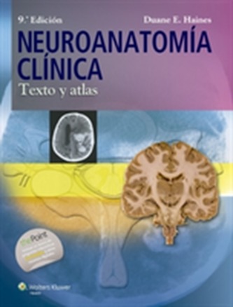 Neuroanatomia clinica