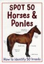 Spot 50 Horses and Ponies