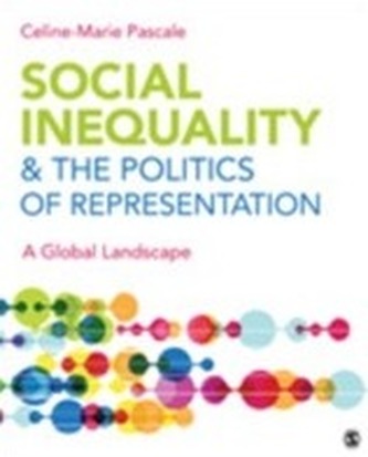 Social Inequality & The Politics of Representation