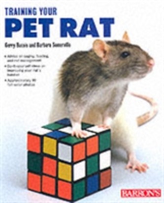 Training Your Pet Rat
