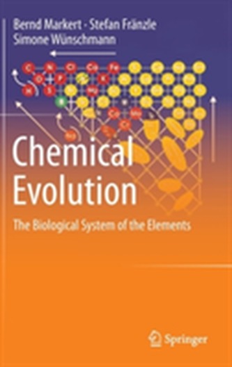 Chemical Evolution