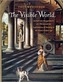 The Visible World