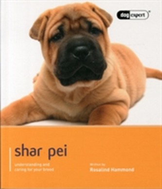 Shar Pei