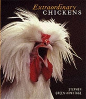 Extraordinary Chickens