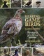 Rearing Game Birds and Gamekeeping