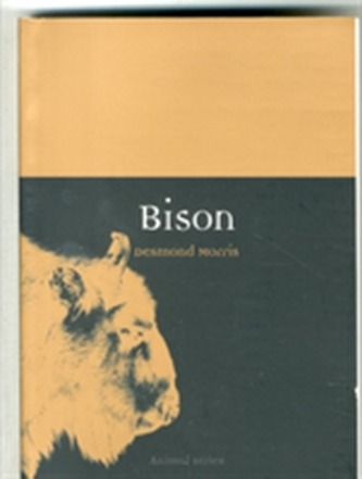 Bison
