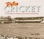 Retro Cricket