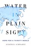 Water in Plain Sight