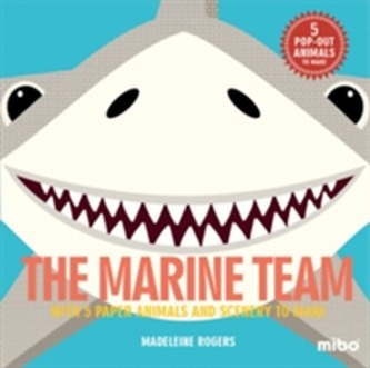 The Marine Team