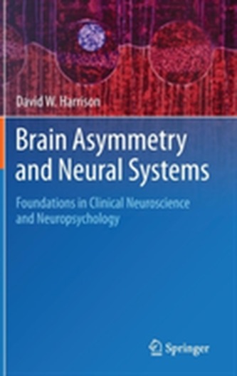 Brain Asymmetry and Neural Systems
