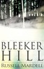 Bleeker Hill