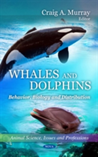 Whales & Dolphins