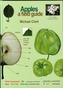 Apples