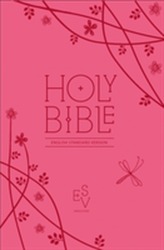 Holy Bible