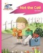 Reading Planet - Not the Cat! - Pink A: Rocket Phonics