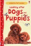 Looking After Dogs and Puppies