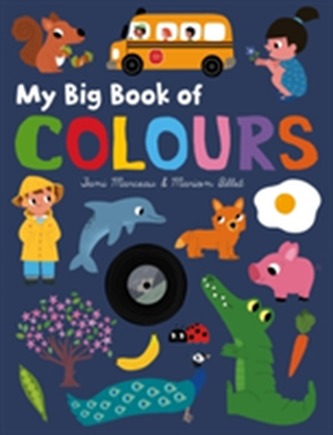My Big Book of Colours