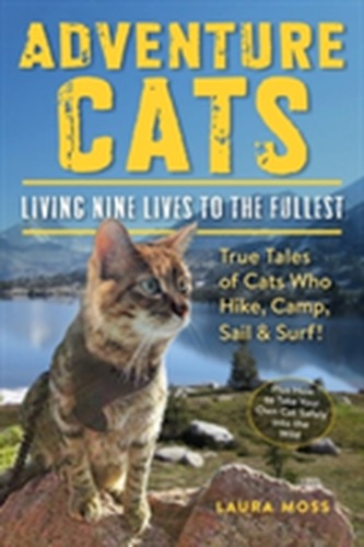 Adventure Cats