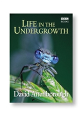 Life in the Undergrowth
