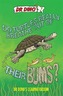 Do Turtles Really Breathe Out Of Their Bums?