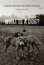 What is a Dog?
