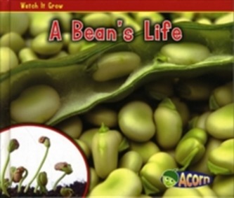 A Bean's Life