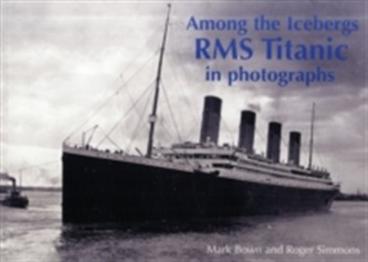 Among the Icebergs