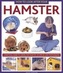 How to Look After Your Hamster