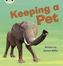 Keeping a Pet