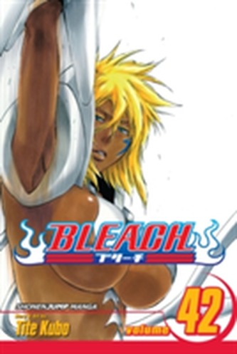 Bleach 42 (anglicky)