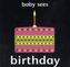 Baby Sees - Birthday