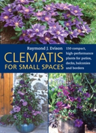Clematis for Small Spaces