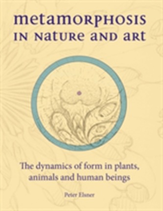 Metamorphosis in Nature and Art