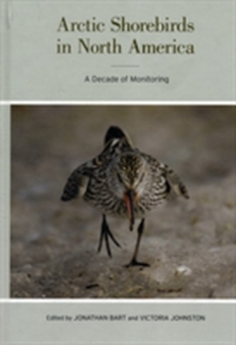 Arctic Shorebirds in North America