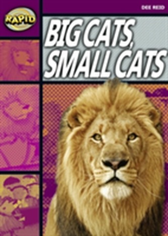 Rapid Stage 1 Set A: Big Cats Small Cats (Series 1)