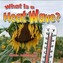 What is a Heatwave?