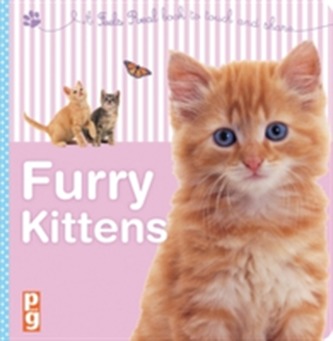 Furry Kittens