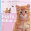 Furry Kittens