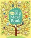 Big Book of Big Mazes